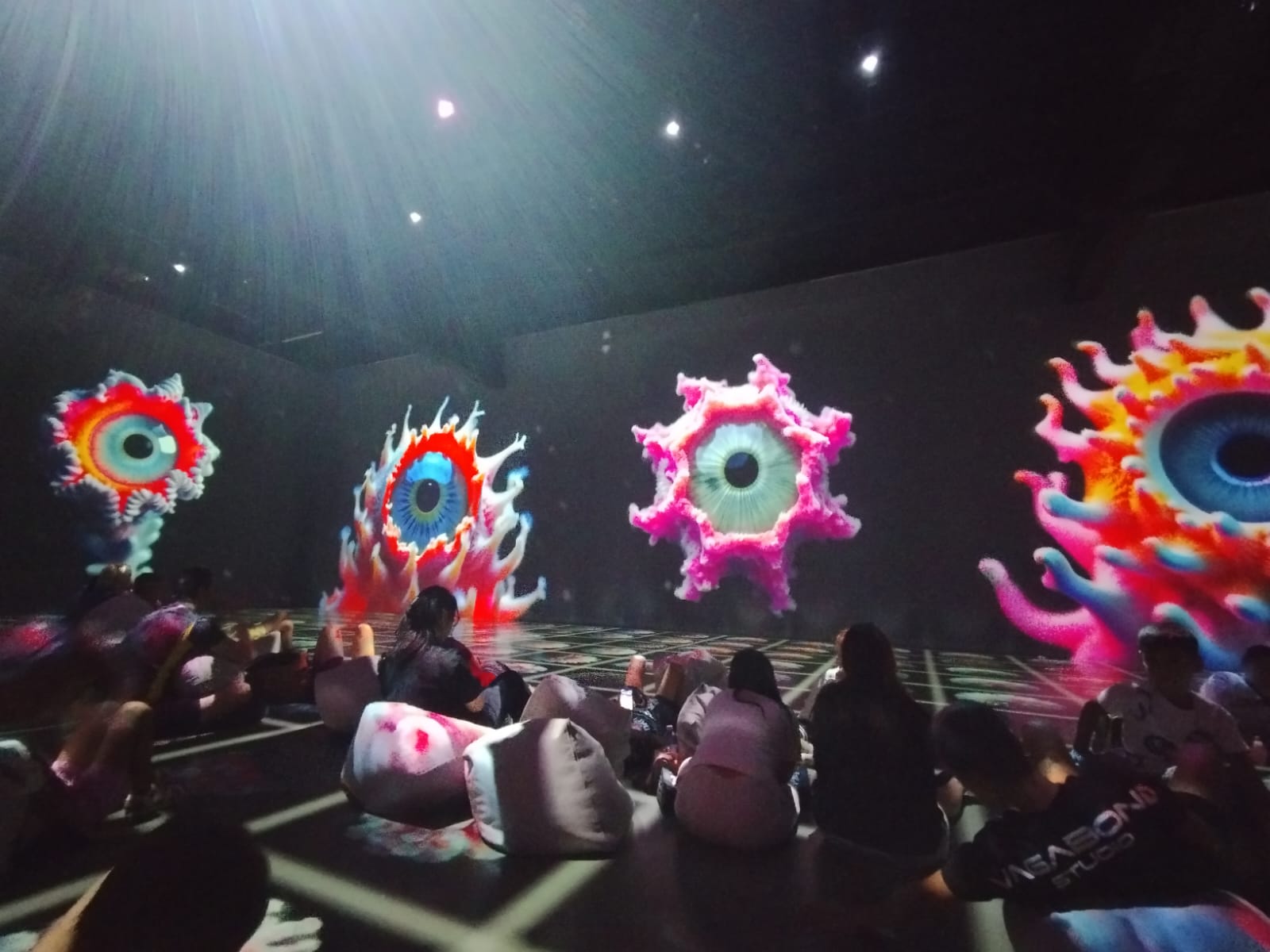 În această săptămână școala noastră a organizat două activități în cadrul Proiectului PNRAS 