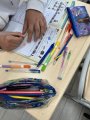 Imagini Proiect (4)